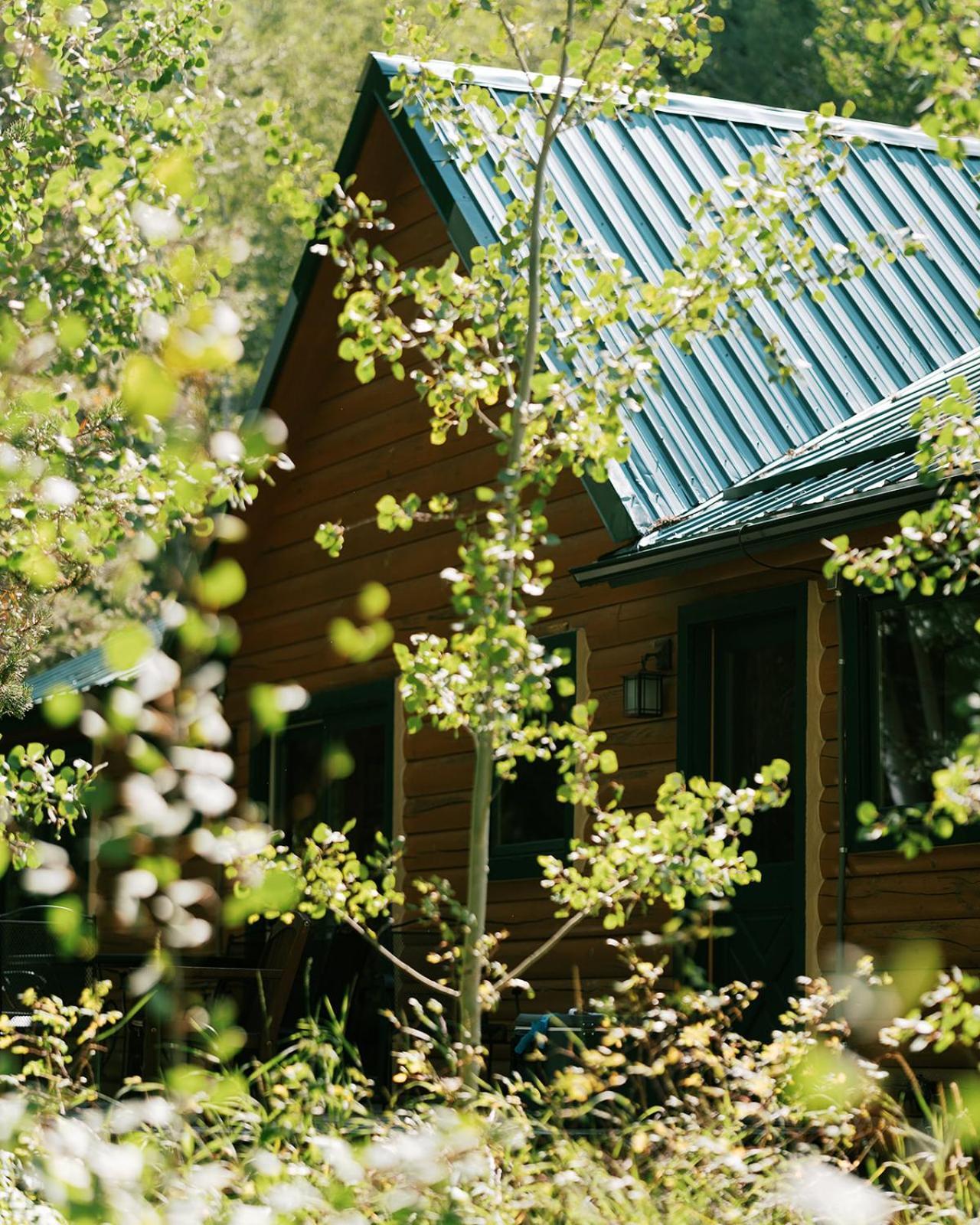 Villa Beyul Retreat à Meredith Extérieur photo